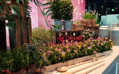 Blumen- und Pflanzenarrangements für besondere Momente