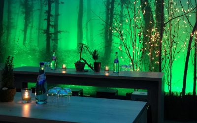 Grünes Natur-Dekorationskonzept