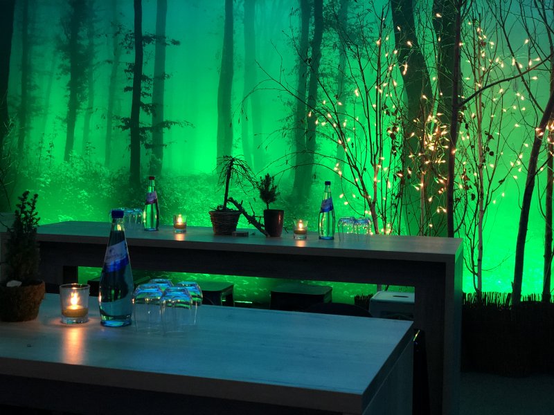 Veranstaltungsdekoration Pflanzen Nature Veranstaltungsdekoration Pflanzen Nature